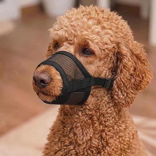 Dog Muzzle for Small Dogs – Adjustable Soft Velcro with Air Mesh Small Dog Muzzle | Perfect for Barking and Biting Prevention | Puppy Mussels for Grooming Allows Panting & Drinking - size: Small ( 4.7” - 5.9” )