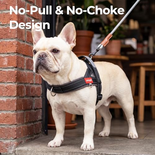 No Pull Dog Harness with Handle, Boston Terrier Adjustable Reflective Dog Vest, Breathable Air Mesh Padded Pet Harness with Front Leash Clip for Small Medium Dogs, Black, M - color: Black, size: Medium