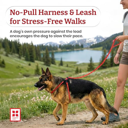 Harness Lead No Pull Dog Harness and Leash Set, Anti Pull Dog Harness for All Breeds and Sizes, One-Piece Cushioned Rope Design Safely Prevents Escaping and Pulling (Medium/Large, Red/Reflective) - color: Red Reflective