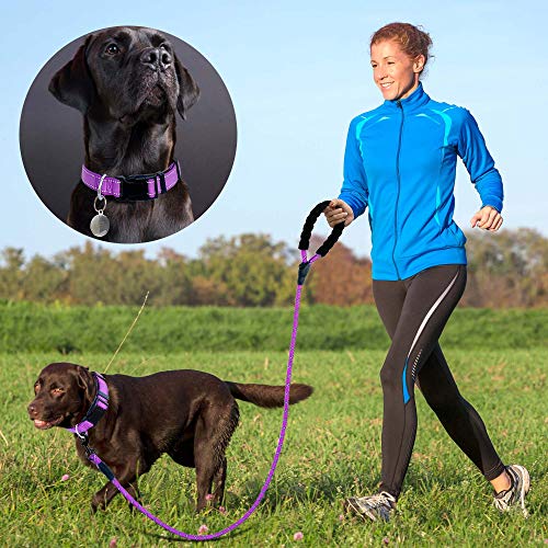 Ladoogo Reflective Dog Collar Padded with Soft Neoprene Breathable Adjustable Nylon Dog Collars for Small Medium Large Dogs (Small (Pack of 1), Purple Collar+Leash) - color: Purple Collar+Leash, size: Small (Pack of 1)
