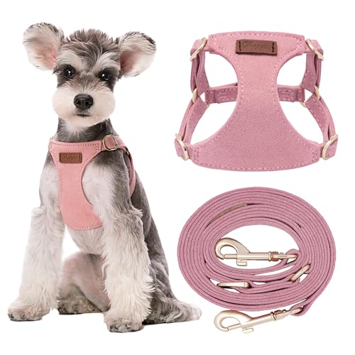 Puppytie No Pull Small Dog Harness with Multifunction Dog Leash, Lightweight Soft Adjustable No Choke Escape Proof Pet Harness Vest, Pink - color: A-Pink, size: S(9-17.5lb）