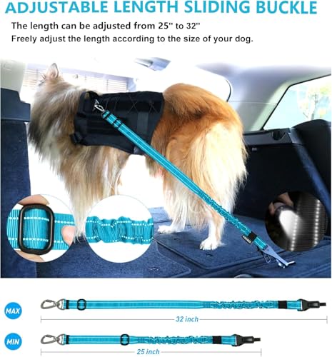 AUBELL Dog Seat Belt for Car,2 Pack Set 3-in-1 Adjustable Reflective Bungee Heavy Duty Dog Car Harness Tether with Clip Hook Latch & Buckle,Swivel Zinc Alloy Carabiner,Black+Blue - color: Set Black+Blue