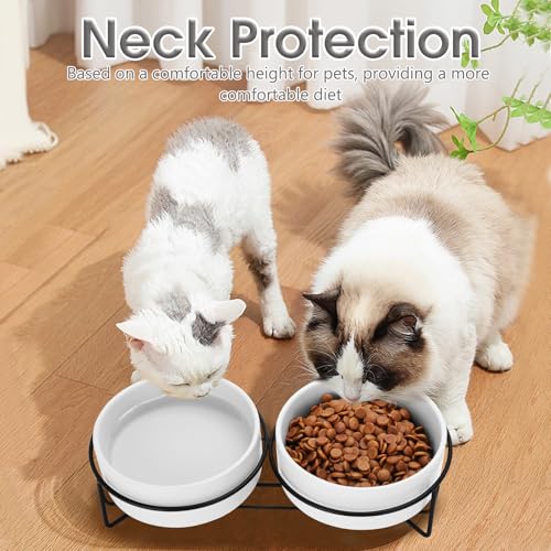 Ceramic Dog and Cat Bowl Set with Stand, 3.6 Cups Dog Food and Water Bowl Suitable for Small and Medium Pets (28.7oz White) - color: White, size: 28.7oz