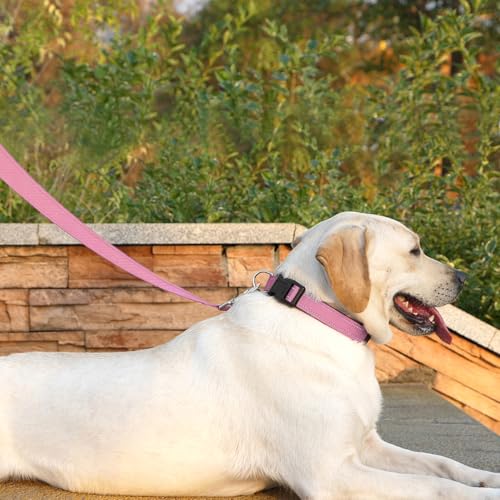 Dog Leash 6 FT Padded Handle Nylon Reflective Dogs Leashes for Small Dogs Pink - color: Refl Pink, size: Small : 5/8" x 6 FT
