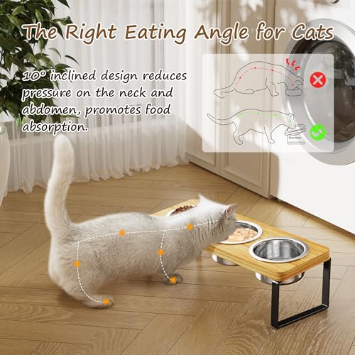 Elevated Cat Bowls with 3 Stainless Steel Bowls | 10° Tilted Anti-Vomiting Raised Cat Food Bowl for Small Cats and Puppies Pet Bowl with Stand - color: Bamboo