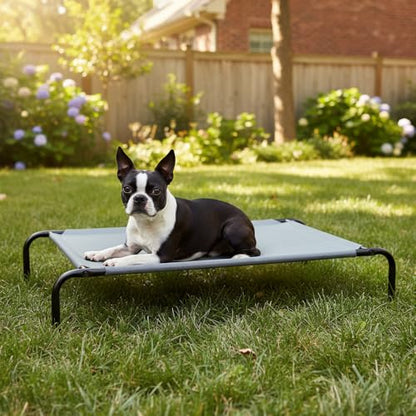 Amazon Basics Cooling Breathable Elevated Dog Bed with Metal Frame for Large Dogs, 51" x 31" x 8", Grey - color: Grey, size: Large