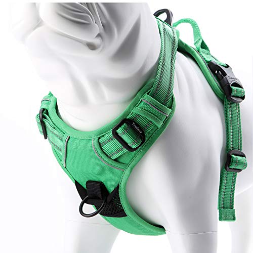 JUXZH Truelove No Pull Dog Harness with Easy Control Handle and 2 Leash Attachments,Reflective Adjustable Pet Vest - color: Grass Green, size: Medium (Pack of 1)