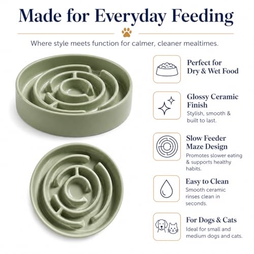 Ceramic Slow Feeder Dog Bowls with Anti-Slip, Slow Feeder & Non-Slip Design, Boredom and Anxiety Reducer, Suitable for All Breed Dogs and Cat (Ceramic-Green) - color: Ceramic-Green