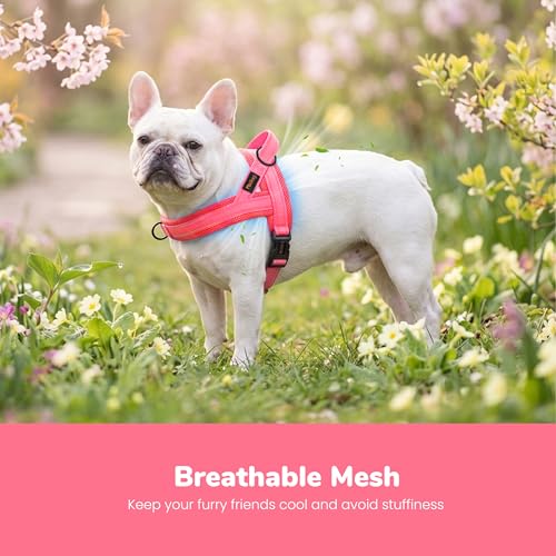 Didog No Pull Dog Harness with Breathable Mesh Padded,Reflective & Quick Fit Light Weight Dog Strap Vest Harness,Easy for Walking Training (S:Chest 18-22", Pink) - color: Pink, size: S: Chest 18-22", Fit 19-29 lbs