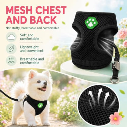 Dog Harness Small Sized and Leash Set, Step in Soft Light Puppy Vest, Breathable Mesh Pet Harness, Adjustable Pet Puppy Harness, Easy Walk Dog Harness, M: Chest 11.8-17.7" - color: Black, size: M: Chest 11.8-17.7" Leash 3.8 FT