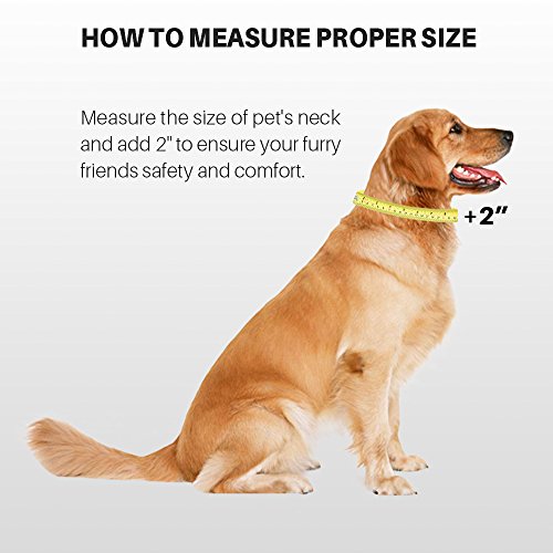 Hyhug Small Dog Collar Quick-Release Green| Heavy-Duty Nylon Puppy Collar, Adjustable & Durable Pet Supplies for Boy & Girl Dogs (Small, Lime Green) - color: Lime Green, size: Small