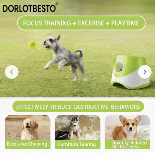Automatic Ball Launcher