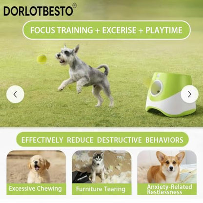 Automatic Ball Launcher