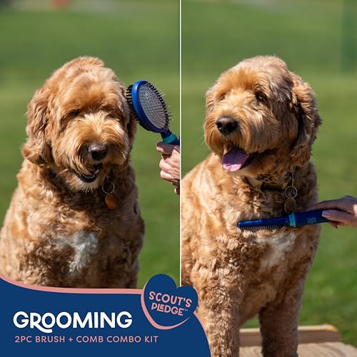 Good Scout 2-Piece Deshedding Tool Set with Comb & Soft Bristle Brush, Best Deshedding Tool for Dogs & Cats, Gentle, Safe & Effective Grooming Tool for Short or Long Haired Animals - style: Comb & Bristle Brush