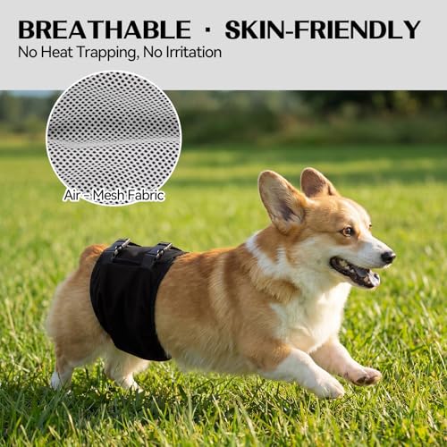 DENTRUN Male Dog Wrap - Machine Washable Post-Surgery Recovery & Heat Cycle Diaper, Prevents Licking, Mounting, Adjustable Belly Band, Marking Prevention Band, Leak-Proof Edges, Fast Drying - color: Black, size: XL