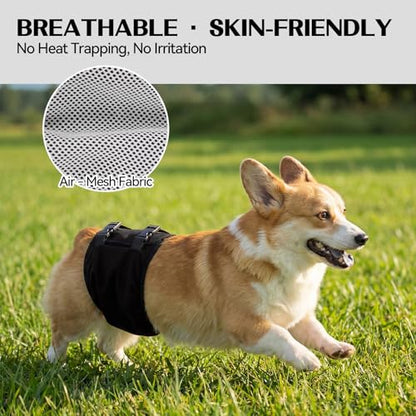 DENTRUN Male Dog Wrap - Machine Washable Post-Surgery Recovery & Heat Cycle Diaper, Prevents Licking, Mounting, Adjustable Belly Band, Marking Prevention Band, Leak-Proof Edges, Fast Drying - color: Black, size: XL
