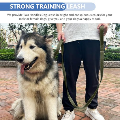 Strong Heavy Duty Dog Leash - 5ft Reflective Nylon Training Leash with Soft Padded Double Handle & Auto Lock Frog Clip - Safety Traffic Control for Large Medium Small Dogs No Pull Walk Army Green,5ft - color: Army Green, size: 5FT x 1" x 2.8MM