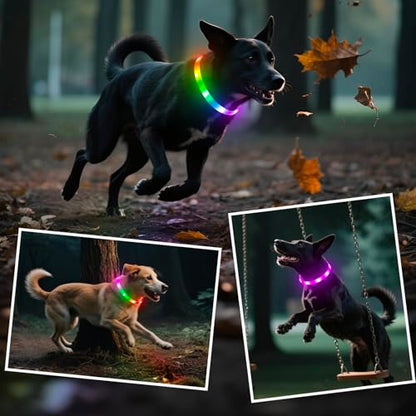 HIGO RGB LED Dog Collar Light - USB Rechargeable Light Up Dog Collars, Safety LED Dog Necklace for Your Dogs Walking at Night (Multi-Color) - color: Multi Color