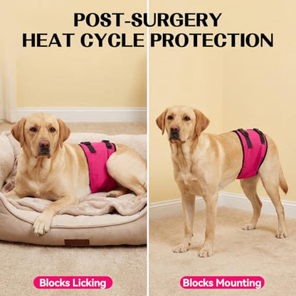 DENTRUN Male Dog Wrap - Machine Washable Post-Surgery Recovery & Heat Cycle Diaper, Prevents Licking, Mounting, Adjustable Belly Band, Marking Prevention Band, Leak-Proof Edges, Fast Drying - color: Pink, size: XS