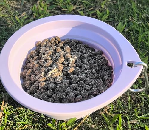Portable Collapsible Pet Bowl - Food Grade TPR/Silicone, Foldable Dog Cat Travel Bowl with Carabiner for Hiking Camping, Easy Clean & Lightweight (Purple) - color: Purple