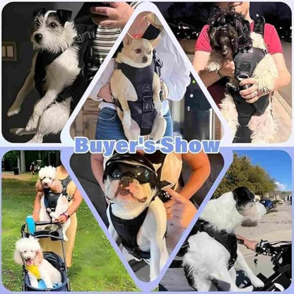 YUDODO Front Pet Carrier Backpack for Small Dogs, Secure and Breathable Mesh Travel Dog Carrier with Safety Belt, Ergonomic Support, Adjustable for Walking, Hiking (Black, M) - color: Black