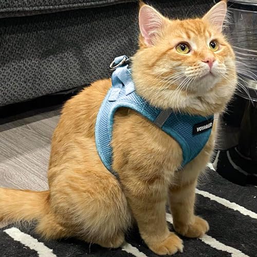 Best Pet Supplies Voyager Step-in Air Harness - All Weather Mesh, Reflective, No Pull Harness for Dogs, Cats - Secure with Hook & Loop Fastener, Buckle, Double D-Rings - Baby Blue, L - color: Harness (Baby Blue), size: L (Chest: 18 - 20.5")