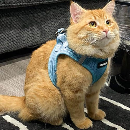 Best Pet Supplies Voyager Step-in Air Harness - All Weather Mesh, Reflective, No Pull Harness for Dogs, Cats - Secure with Hook & Loop Fastener, Buckle, Double D-Rings - Baby Blue, L - color: Harness (Baby Blue), size: L (Chest: 18 - 20.5")