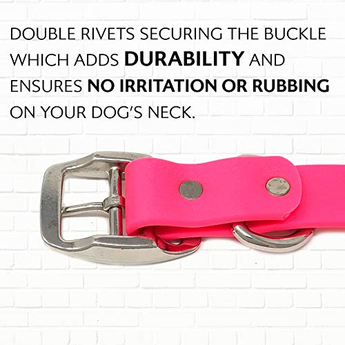 Regal Dog Products Large Pink Dog Collar with Heavy Duty Double Buckle & D Ring | Vinyl Coated, Custom Fit, Adjustable Biothane Dog Collar | Chew Resistant Waterproof Center-Ring Collar for Dogs - color: Pink, size: Large