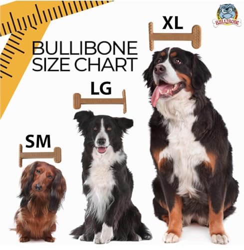 Bullibone Nylon Dog Chew Toy for Aggressive Chewers - Dental Hygiene Bone with Bacon Flavor, Durable Tough Chew Toys for Small Dogs, Indestructible Dog Bone - 2 Pack - size: Small - 2 Pack