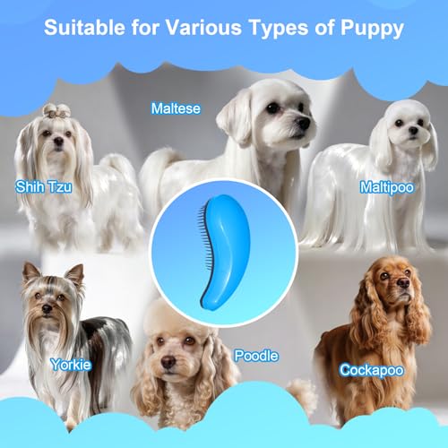 Small Dog Brush- Grooming Tool for Teddy, Yorkies, Maltese, Shih Tzu, Chihuahua - Puppy Hair Brush (Blue) - color: Blue