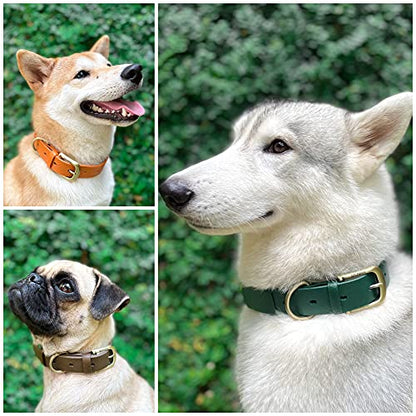 Tuff Pupper Classic Heavy Duty Dog Collar | 10x Stronger Than Leather | 100% Waterproof & Odor Proof Dog Collar | Tough Rust-Proof All Metal Hardware - color: Forest Green
