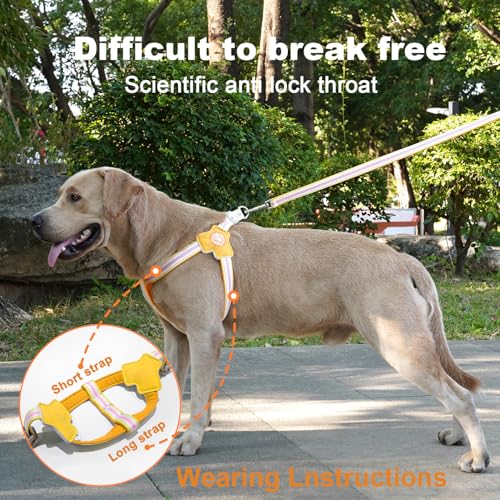 COODEO Anti-Pull Dog Harness with Reflective Strips & Breathable Padding & Anti-Escape Design, Quick Adjustable Dogs Training & Walking (Yellow, XS) - color: Yellow, size: XS