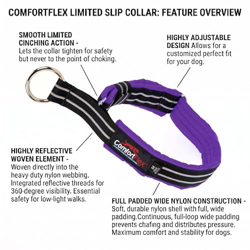 ComfortFlex Limited Slip Martingale Collar, Medium, Purple | American made, designed, cut, assembled, sewn in USA, wide escape proof martingale design, premium padding, gentle control - color: Purple, size: Medium