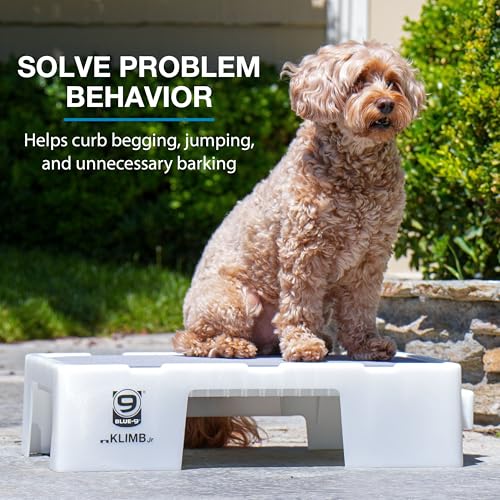 Blue-9 KLIMB Jr. Professionally Designed Dog Training Platform and DIY Guide for Behavior Basics, Made in The USA, White - color: White