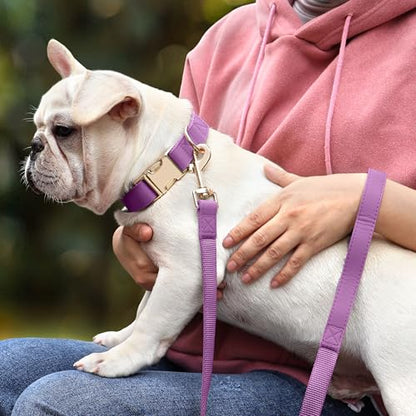 PET ARTIST PU Leather Dog Collar, Bright & Stylish Purple Dog Collar Girl with Quick Release Gold Metal Buckle, Soft Nylon Padded Durable Pet Collars Adjustable for Medium Dogs, Neck Fit 13-19" - color: Purple, size: M: Fit 13-19" Neck(20-55 lbs)