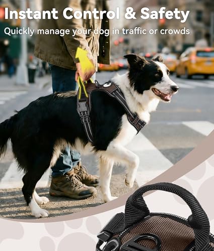 Joytale No Pull Dog Harness Medium Sized Dog, Reflective Pet Vest with Front Clip, Adjustable Soft Padded Harnesses with Easy Control Handle for Training and Walking, Brown, M - color: Brown, size: Medium