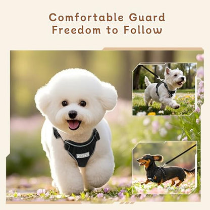 Small Dog Harness and Leash Set, Reflective Soft Breathable Mesh Vest, 3 Buckles, Adjustable Neck and Chest,Step in Dog Harness for Walking, Running, Training, Black, XS - color: Black, size: X-Small