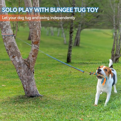 ALL FOR PAWS Dog Bungee Tug Toy, Outdoor Hanging Bungee from Tree for Chase & Tug Fun, Interactive Tug-of-War Toy for Small and Medium Dogs, Bungee Cord with Dog Rope Toy & Soft Chew Toy