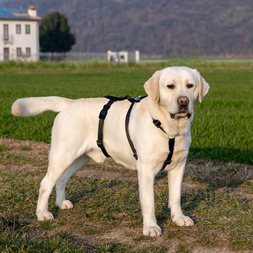 Ferplast Dog Harness Large Brave Large, Escape Proof Dog Harness, Greyhound, Adjustable Harness for Dogs, 6 Closures, Marrone - color: Brown, size: Large