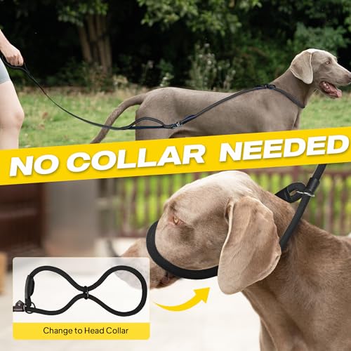 Fida 2-in-1 Slip Leads for Dogs with Double Handles, Tangle Free Leash for Large Dogs that Pull, Heavy Duty No Pull Training Leash Reflective Soft Padded for Large & Medium Breed(6ft,Black) - color: Black