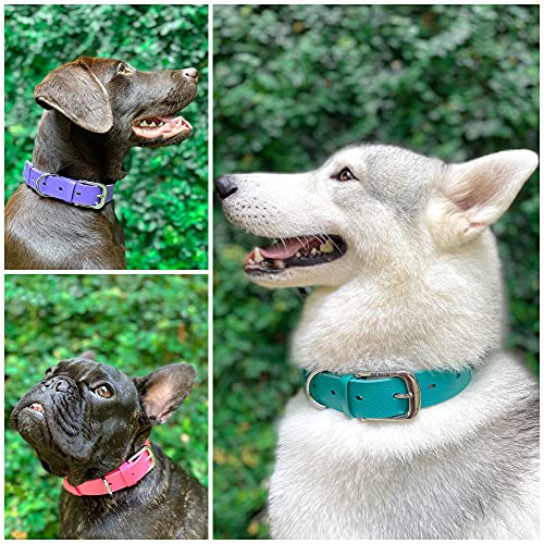 Tuff Pupper Classic Heavy Duty Dog Collar | 10x Stronger Than Leather | 100% Waterproof & Odor Proof Dog Collar | Tough Rust-Proof All Metal Hardware - color: Tropical Teal
