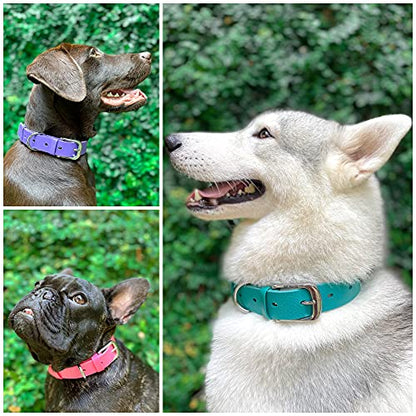 Tuff Pupper Classic Heavy Duty Dog Collar | 10x Stronger Than Leather | 100% Waterproof & Odor Proof Dog Collar | Tough Rust-Proof All Metal Hardware - color: Tropical Teal