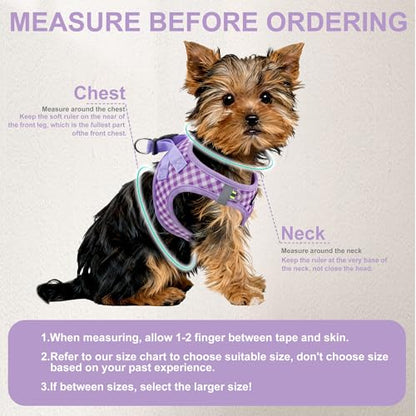 AIITLE Small Dog Harness with Leash – Soft Breathable Mesh, Plaid Pattern & Reflective Strips – Ideal for Training, Running & Party Outings (S, Purple) - color: Purple, size: S