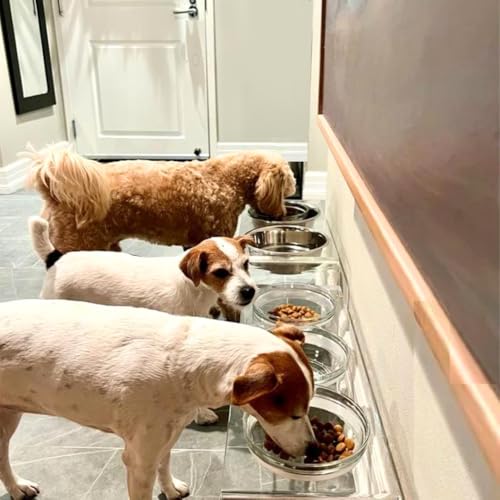 Hiddin Double Elevated Dog Bowl Stand for Medium or Large Dogs, All Breeds, Clear Acrylic 7 Inch Raised Dog Bowl Stand with Two Stainless Steel Bowls for Food and Water - 6.5 Cups Each Dish - size: 6.5 Cups