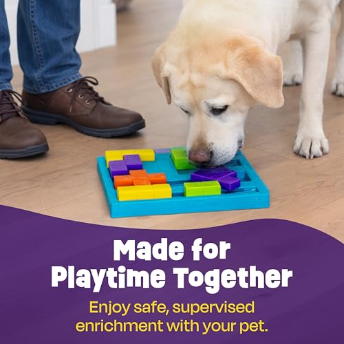 Brightkins Brain Teaser Treat Puzzle - Dog Puzzle Toys, Interactive Dog Toys, Gifts for Dogs - size: (Pack of 1)