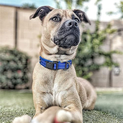 EXCELLENT ELITE SPANKER Reflective Dog Collar Classic Soft Padded Breathable Nylon Adjustable Pet Collar with Quick Release Buckle for Boy Girl Male Female Small Medium Large Dogs Training(LBLU-M) - color: Light Blue, size: M