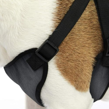 AKC Striped Step-in Dog Harness – No Pull Adjustable Vest with Dual D-Rings, Easy On/Off – Small, Medium & Large Sizes in Black, Gray, Navy & Red - color: Black, size: Medium