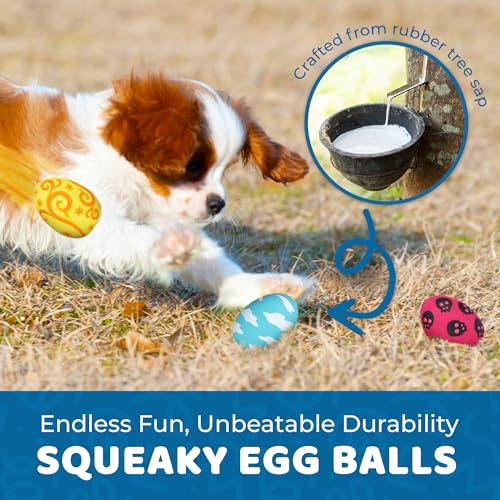 SunGrow Squeak Balls for Dogs, Companion for Puppies and Small Breeds, 3 Assorted Easter Egg Designs, Indoor, Outdoor Interactive Throw and Fetch Orbs, Soft Rubber, Blue, Pink and Yellow, 2.5x1.5
