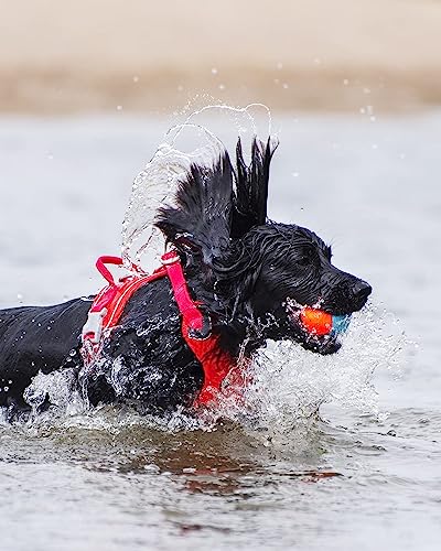 Chuckit! Amphibious Fetch Balls, Set of 3, Medium (Pack of 12) - size: Medium (Pack of 12), style: Fetch Balls (Pack of 3)