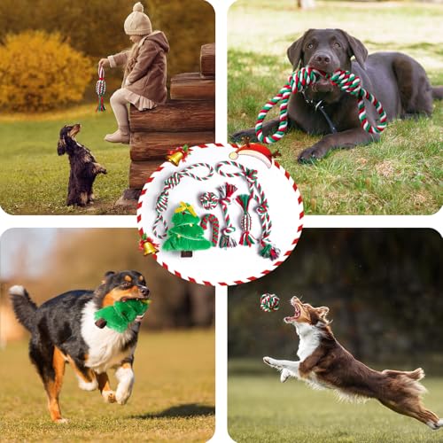 Aitmexcn Dog Rope Toys Set, 7 Pack Cotton Dog Toys for Large Dogs and Medium Small, Cute Interactive Squeaky Toy, Chewing Puppy Gaming Toy for Teeth Cleaning - size: 7 Pack Christmas-Large